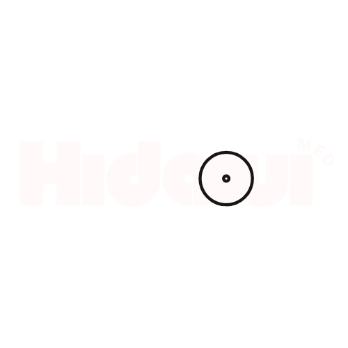 HIDAOUI MED LLC